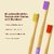 DENCRUS Orby Plus Bamboo Toothbrush For Adults (Red, Blue, Yellow, Lavender, Pink), Natural Soft Bristles