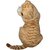 Goldie Meowster  with realistic cat sound perfect gift for small kdis