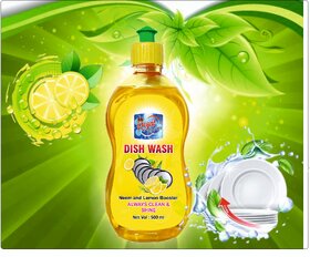 Royal cleaner DISWASH LIQUID 500ML+500ML FREE