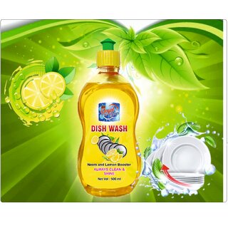 Royal cleaner DISWASH LIQUID 500ML+500ML FREE