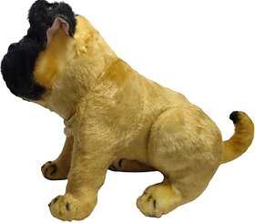 Toy Pug  Cuddle  The Pocket-Sized Pug Pal (16 cm) Toy