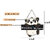 Tiny Shiny Art Panda Wooden Wall Hanging for Living Room/Bedroom/Office Gift Decoration