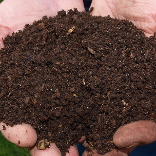 Organic Vermicompost 1 KG