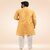 Raivat Ethnic Mustard Colour Jacquard Banarasi Silk Pintux Work Kurta Pajama 1809