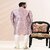 Raivat Ethnic Onion Pink Colour Jacquard Banarasi Silk Pintux Work Kurta Pajama 2041