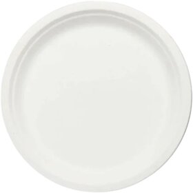 Sugarcane plates 11 inch Bagasse plain plate - 25 pcs