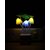 Magic 3D LED Night Lamp with Plug Smart Sensor auto On/Off and Color Change Mushroom Flowers Beautiful Illumination