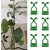 Combo of  Plant Support for Climbers 20 PCS for for for Climbing  (Pack of 10) Plant Climbing Wall Vine Climbing