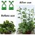 Combo of  Plant Support for Climbers 20 PCS for for for Climbing  Antiq World Gardening Tools, Garden Tools, Fork), Gardening