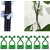 Combo of  Plant Support for Climbers 20 PCS for for for Climbing  Antiq World Gardening Tools, Garden Tools, Fork), Gardening