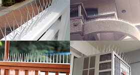 Polycarbonate Bird Deterrent Spikes - Outdoor Pigeon Spike System