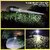 Charkee 30W High Flash Led torch Plastic Body Rechargeable Tourch (Multicolor)