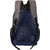 Life Today Large 38 L Laptop Backpack 15.6 Inch Laptop Backpack Grey Blue bags(Grey, Blue)