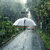 Transparent Umbrella/Chhata/Chhatri for Men,Women & Kids,Auto Open/Close Button Umbrella(Transparent)