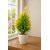 Artificial Decorative Plant with Yellow-Green Leaves in White Pot