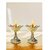 Brass Lotus Akhand Deep Paheldar Stand No.1 (Pack of 2) Brass (Pack of 2) Table Diya (Height 7 inch)