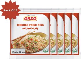Testofo Chicken Fried Rice Masala  The Ultimate Spice Mix for Restaurant-Quality Chicken Fried Rice at Home (Pack of 5)