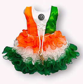 Little Mama Disney Princess Baby Girls Midi/Knee Length Festive/Wedding Dress(Multicolor, Sleeveless)