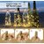 Pack of 4 LED Bottle Cork Lights - 6m Copper Wire String, Battery Operated, Mini Decorative Fairy Lights