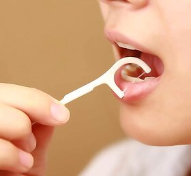 (Pack of 10) Dental Toothpick Flossers Toothpick Cleaners for Oral Care