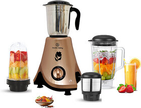 Double Safety Royal Series 750W Mixer Grinder Juicer with 4 Jars (Cape Town Curve, Golden)