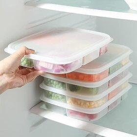 Airtight Fridge Storage Box, 5-Compartment Food Organizer for Vegetables, Onion, Ginger & Garlic