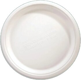 9 Inch Sugarcane Bagasse Plates - 20 Pcs