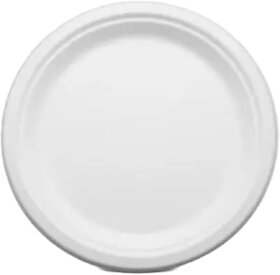 10 Inch Sugarcane Bagasse Plain Round Plates - 20 Pcs