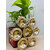 Urli diya set for diwali decor and home decor Diwali gifitng urli diya Brass Table Diya(Height: 6 inch)