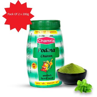 Chamria Podina Churan  Mint Digestive Powder Natural Remedy for Indigestion, Gas  Acidity Relief  150g (Pack of 2)