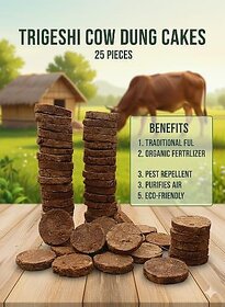Trigeshii Cow Dung Cakes - Organic Fertilizer  Havan Puja Essential