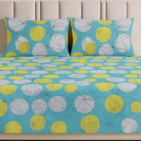 BEDZY Classic Collection Flat Double Bedsheet with 2 Pillow Covers