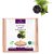 Jamun Seed Syzygium Cumini Powder Organic Indian 100gm