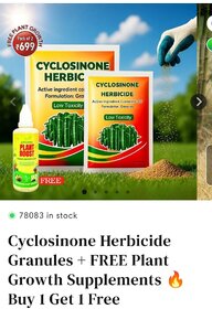 Cyclosinone Herbicid Granular Weed Killer with Active Ingredient Low Toxicity Formula for Lawn, Garden  Farm Use Fast-A
