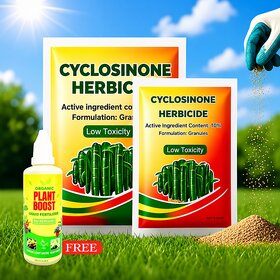 Cyclosinone Herbicid Granular Weed Killer with Active Ingredient Low Toxicity Formula for Lawn, Garden  Farm Use Fast-A
