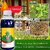 High-Concentration Glufosinate Herbicide All Crop 200ML (Pack of 2)