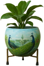 Nanson Hand-Painted Metal Planter with Stand  Premium Decorative Peacock Flower Pot for Indoor  Outdoor Use