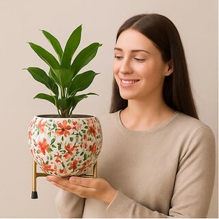 Nanson Hand-Painted Floral Design Metal Planter with Stand  Premium Decorative Flower Pot for Indoor  Outdoor Use