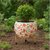 Nanson Hand-Painted Floral Design Metal Planter with Stand  Premium Decorative Flower Pot for Indoor  Outdoor Use