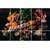 Vegetables and Spices  Waterproof and Anti Oil Stain Kitchen Sticker