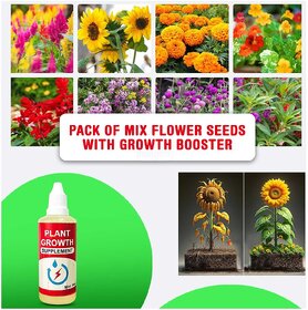 Flower Seeds With Plant Growth Supplement Pack of 2