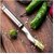 Stainless Steel Chili Corer Pepper Seed Remover Knife  Serrated Blade  Jalapeno Deseeder Tool - Rustproof Sharp  Easy Grip Kitchen Prep Gadget for Stuffed Peppers