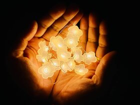 Cherry Blossom Flower String Lights for Girl Bedroom, Warm White Fairy Lights  Battery Operated Decorative