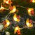 Honey Bee  String Lights, Indoor/Outdoor Fairy Lights for Garden Home Patio Lawn Party  Diwali Decoration