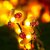 Honey Bee  String Lights, Indoor/Outdoor Fairy Lights for Garden Home Patio Lawn Party  Diwali Decoration