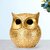Tiny Shiny Golden Owl Showpiece for Home Decor  Handcrafted Resin Owl Statue for Living Room, Office Desk