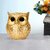 Tiny Shiny Golden Owl Showpiece for Home Decor  Handcrafted Resin Owl Statue for Living Room, Office Desk