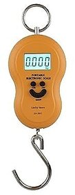 Electronic Digital Hanging Scale  50Kg Capacity, Stainless Steel Hook, LCD Display  Portable Luggage  Industrial Use