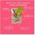 Nail Polish Set for Women | 12-Free Vegan Cruelty-Free Quick Dry Long Lasting High Gloss Chip Resistant | Nail Paint Combo Set for Women | Set of 5 Happy Hues