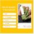 Nail Polish Groovy Olive - Olive Green Long-Lasting High-Shine Finish | Chip-Resistant and Quick-Drying Formula | Vegan and 12-Free Nail Paint For Women Professional-Quality Manicure 5ml